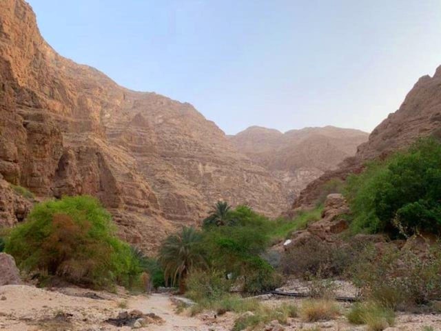 Tour Fatimah-2 Days 1 Night In Ras Al Hadd, Private Tour