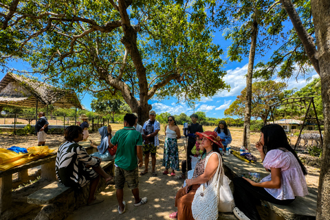 From Coron: Calauit Safari & Black Island Tour with Lunch