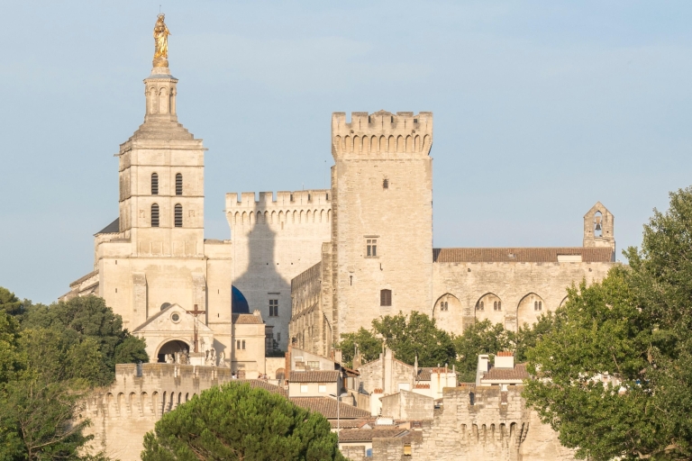 Avignon : visite pédestre de 3 h et dégustation de vin