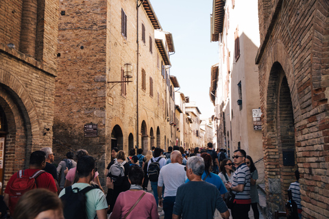 Firenze: Pisa, Siena, San Gimignano e l&#039;esperienza del Chianti