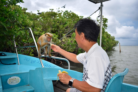 Negombo: Lagoon Boat Tour with hotel transfers & fruit snak