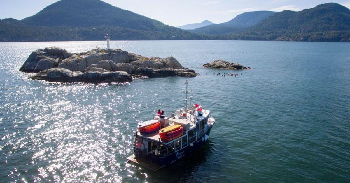 Vancouver Boat Dive for Certified Divers GetYourGuide