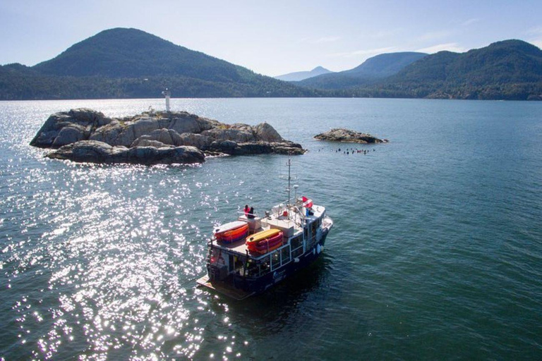 Dyk med dykbåt i Vancouver Dykning med scubabåt i Horseshoe Bay