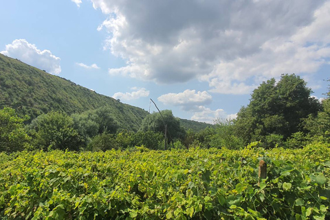 Chisinau:OLD Orhei Höhlenklöster - Branesti Weinverkostung