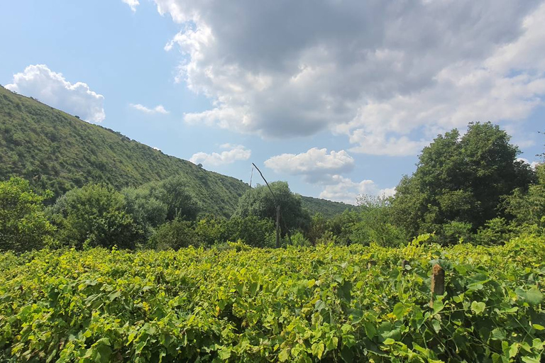 Chisinau:OLD Orhei cave monasteries - Branesti wine tasting