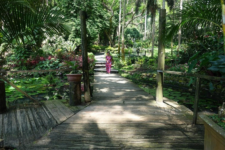 Jardin d&#039;orchidées de Nadi, randonnée dans les cascades avec source d&#039;eau chaude et bain de boueFidji Marriott/Queens Wharf Lautoka/Prise en charge au Tanoa Waterfront