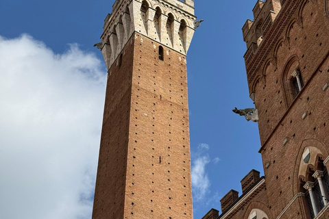 Tour di Siena e San Gimignano in van da Lucca o Pisa