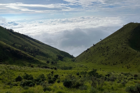 Von Yogyakarta aus: Mt. Merbabu 2-tägige Wanderung und Camping