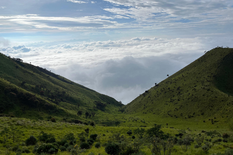 Yogyakarta: Mt Merbabu 1 dags vandring / CampingalternativMount Merbabu Sunrise &amp; Sunset 2 dagars vandring med camping