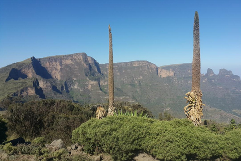 Addis Ababa: Simien Mountains 3-Day Trekking Tour