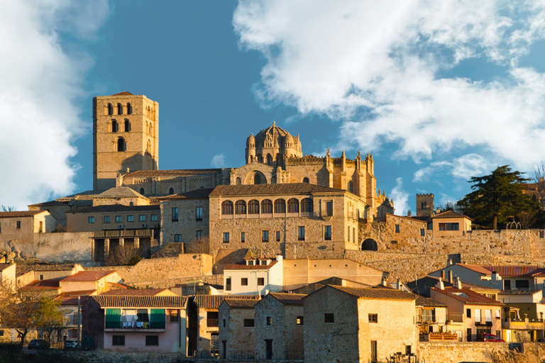 Zamora: Private Guided Tour