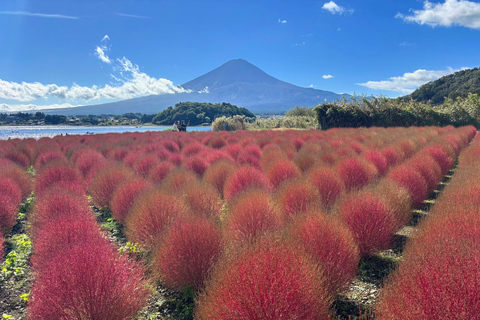 Tokyo: Mt Fuji, Lake Cruise and Noodles Making Experience Spectacular Fuji: Nature & Local Flavors