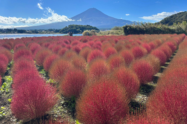 Tokyo: Mt Fuji, Lake Cruise and Noodles Making Experience Spectacular Fuji: Nature & Local Flavors