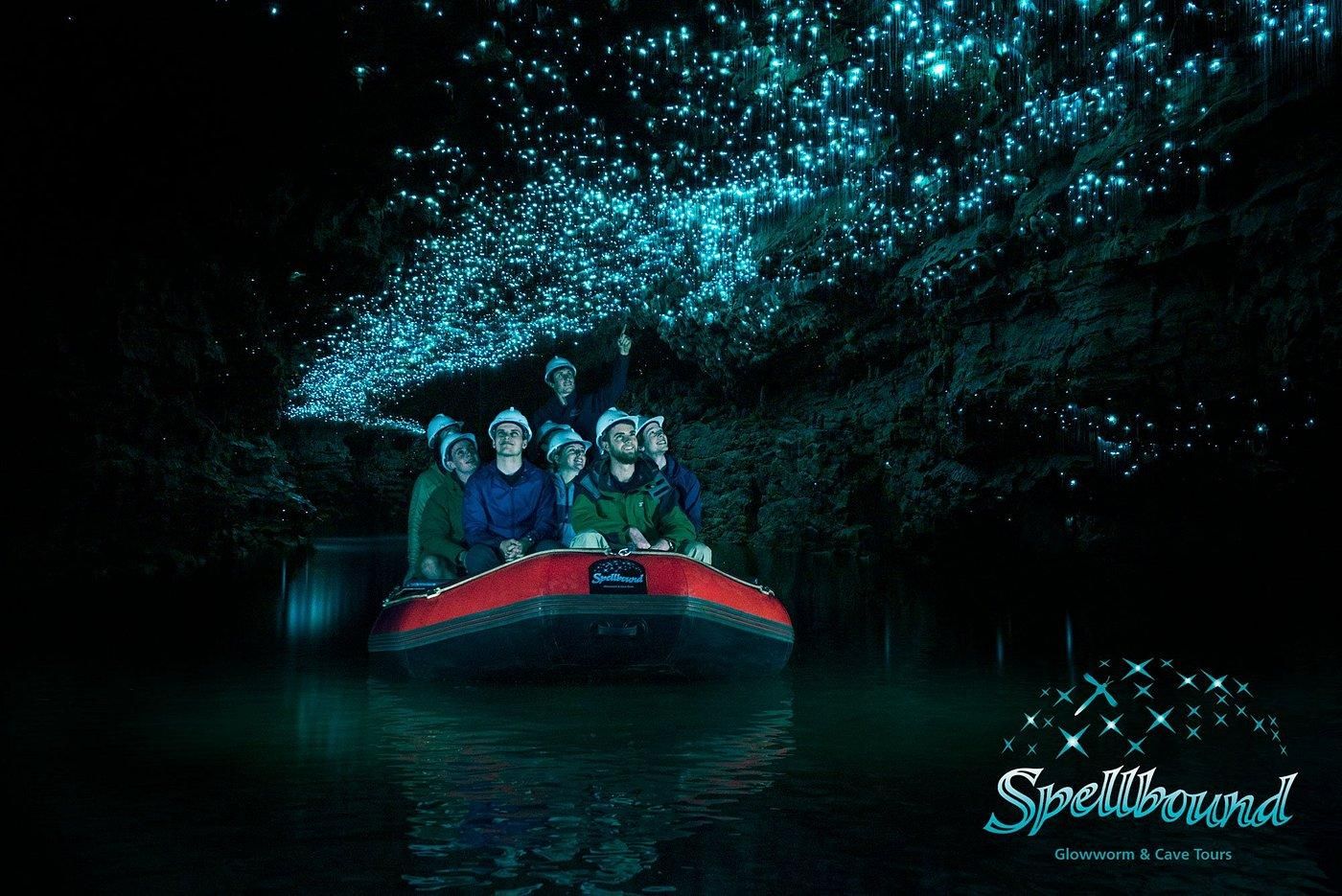 Von Hamilton: Entdecke die Waitomo Glowworm Caves in kleinen Gruppen