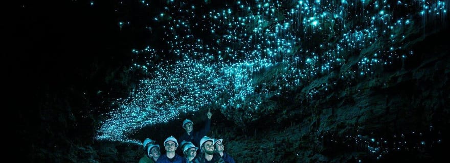 Depuis Hamilton : Explorez les grottes de Waitomo en petit groupe