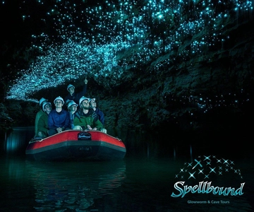 Auckland: Waitomo Glowworm Caves Explorer Small Group Tour