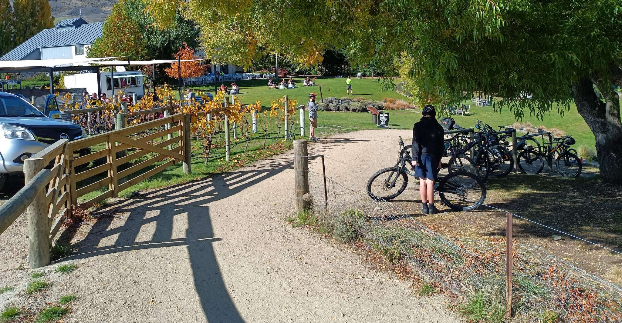 Lake Dunstan Trail - Bike/Ebike Hire & Return Luxury Shuttle - Housity