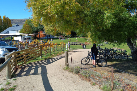 Lake Dunstan Trail - Bike/Ebike Hire &amp; Return Luxury ShuttleRegular Bike Hire &amp; Return Luxury Shuttle