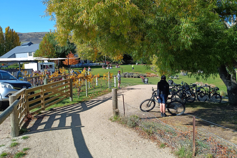 Lake Dunstan Trail - Bike/Ebike Hire &amp; Return Luxury ShuttleRegular Bike Hire &amp; Return Luxury Shuttle