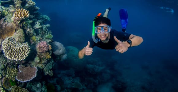 Cairns: Great Barrier Reef Snorkeling Tour with Lunch