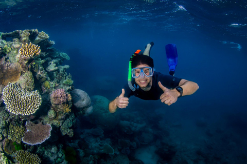 Cairns: Great Barrier Reef Snorkeling Tour with Lunch
