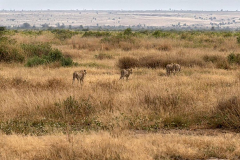 Nairobi: 4 Days epic trip to Amboseli, Tsavo West & East