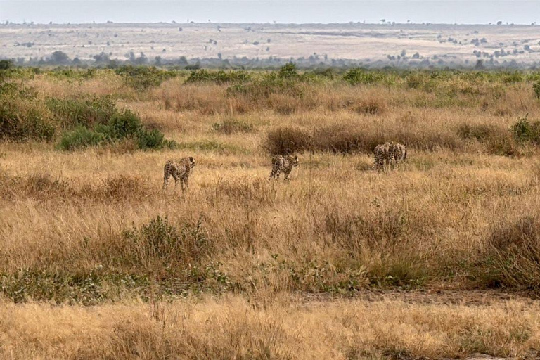 Nairobi: 4 Days epic trip to Amboseli, Tsavo West & East