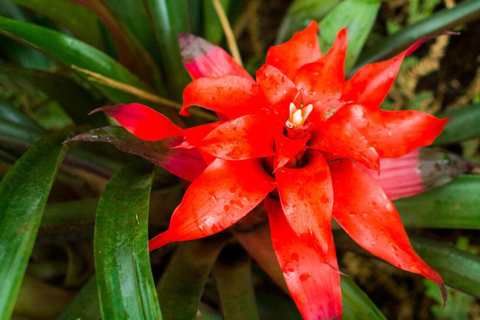 From Iguazú: Excursion to the Iguazú Biocenter