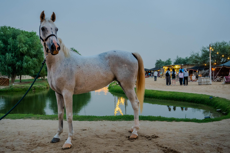 Dubai: Al Marmoom Oasis Horse Riding Experience with Snack 30-Minute Horse Ride with Hotel Pickup and Drop-Off