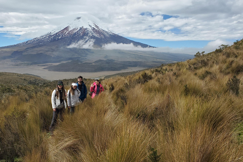 From Quito: Private Andes Tour to Cotopaxi & Quilotoa Lagoon