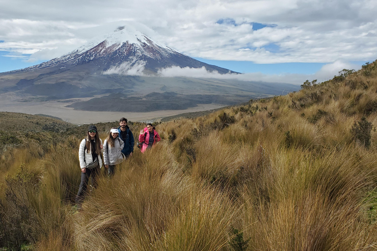 From Quito: Private Andes Tour to Cotopaxi & Quilotoa Lagoon