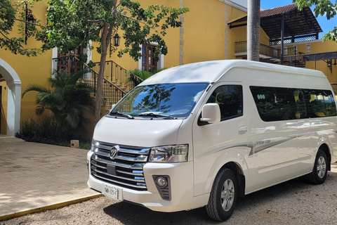 From Merida: Sightseeing tour to Celestún, Flamenco Route, Mangroves, and Estuary From Merida: Tour to Celestun, Flamenco Route, Mangroves, and Estuary