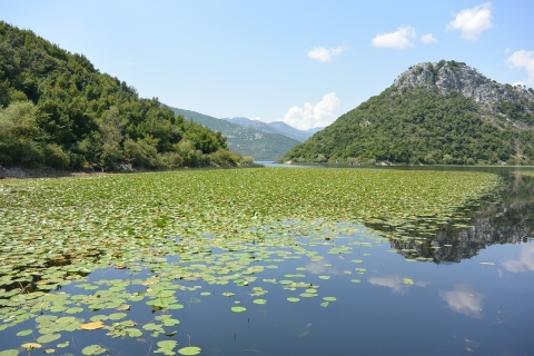 Au départ de Budva : Excursion terrestre et en bateau sur le lac Skadar
