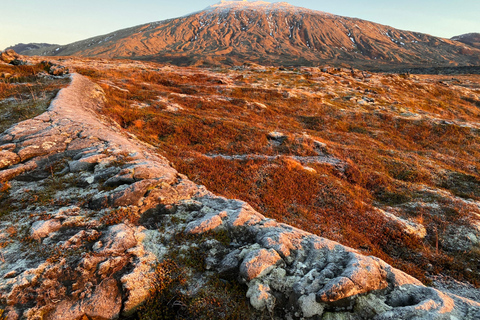 Snæfellsnes: Vatnshellir Lava Cave Tour