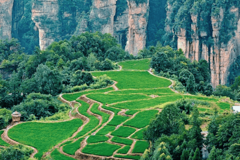 3-Day Zhangjiajie Highlights, Tea & Culture Small Group Tour Private Tour