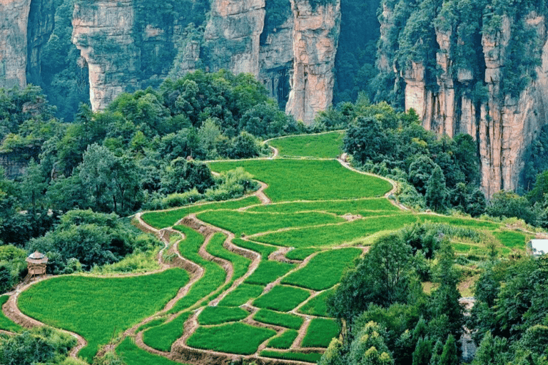 3-Day Zhangjiajie Highlights, Tea & Culture Small Group Tour Private Tour