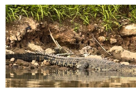 Mirissa: Deep Sea Fishing Tour & River Safari Crocodile watching & River Safari