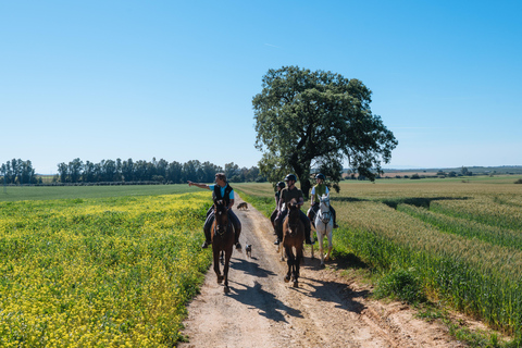 Horseback ride around Doñana National Park Horseback riding around Doñana National Park