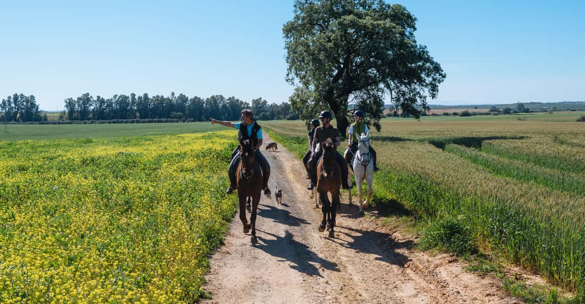 Afbeelding 14 van Paardrijden rond het Nationaal Park Doñana