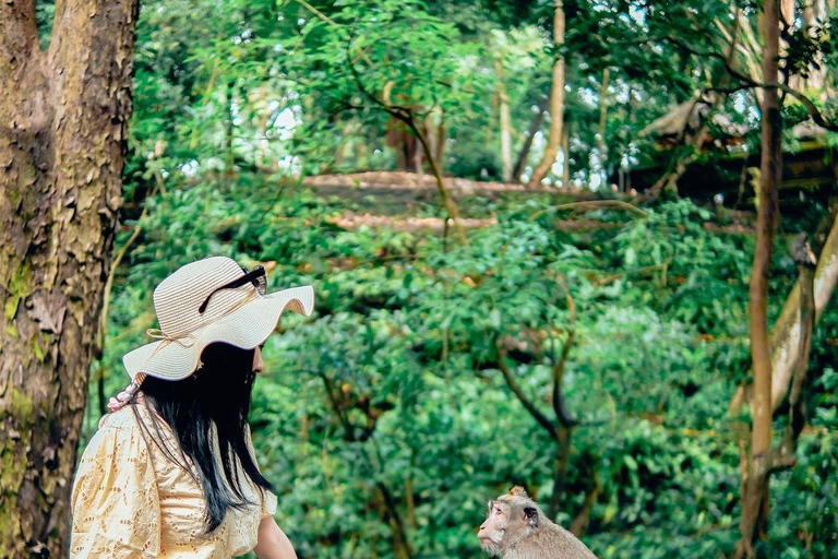 Ubud-avontuur: apenbos, rijstterrassen en watervallen