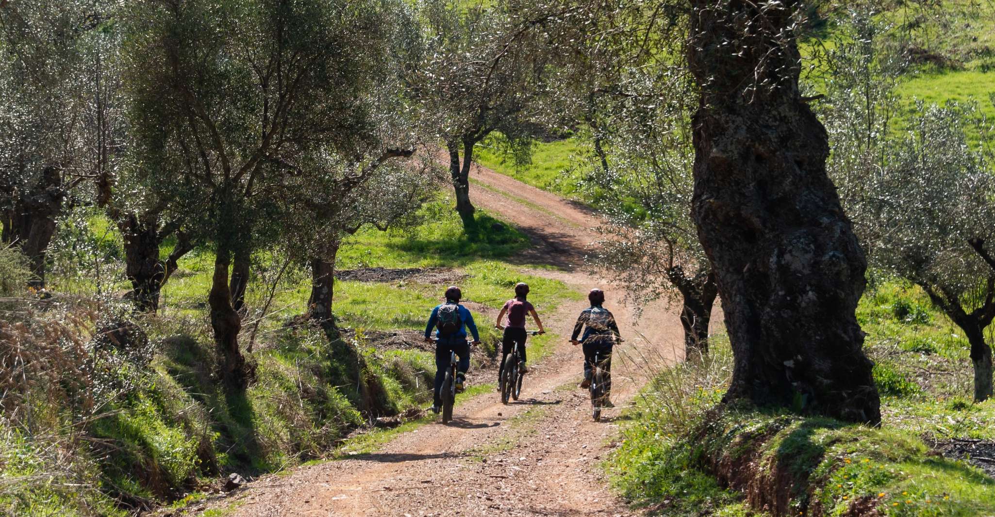 Ancient Messene, E-Bike Tour with Monastery Visit and Picnic - Housity