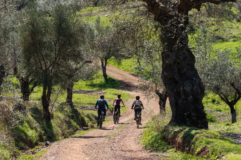 L&#039;ancienne Messénie : Excursion en E-Bike avec visite du monastère et pique-niqueMessène : Excursion en E-Bike avec visite d&#039;un monastère et pique-nique