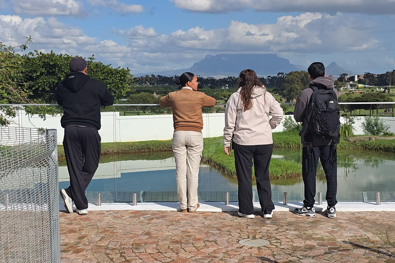 Cape Town: Ostrich Ranch Safari with Hotel Transfer