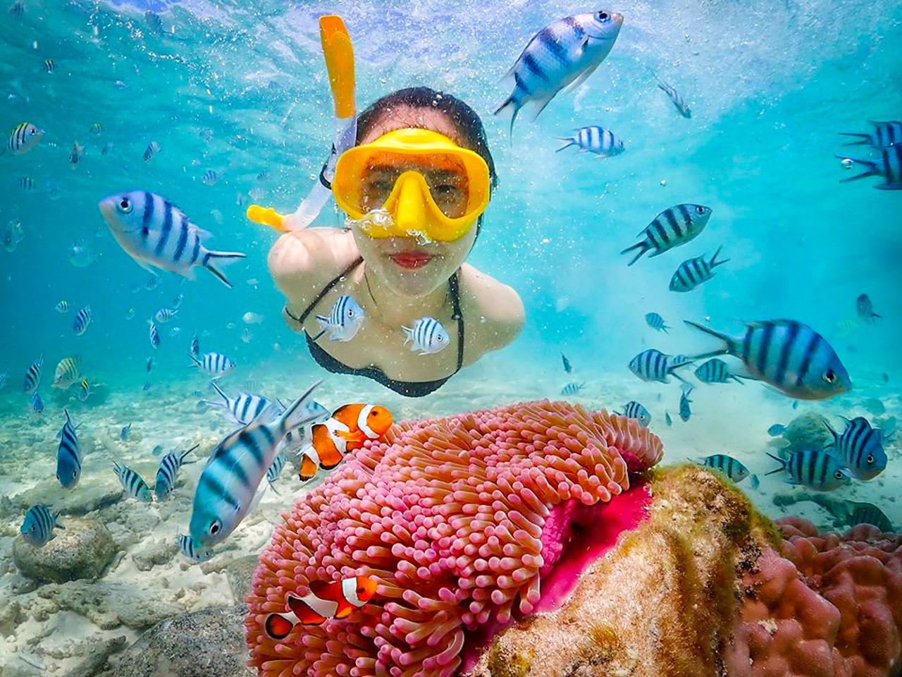 Schnorcheln & Chillen: Nemo-Insel-Trip ab Pattaya