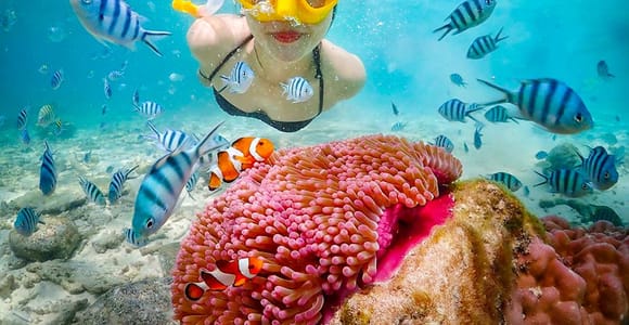 Schnorcheln & Chillen: Nemo-Insel-Trip ab Pattaya