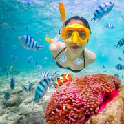 Snorkel & Chill: Nemo Island Trip from Pattaya