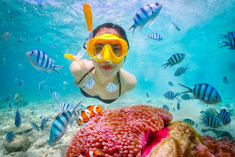 Snorkel & Chill: Nemo Island Trip from Pattaya