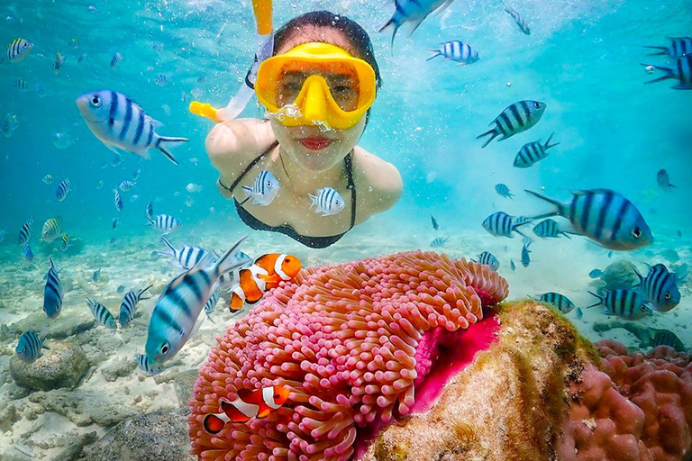 Snorkel &amp; Chill: wycieczka na wyspę Nemo z PattayaNurkowanie z rurką i relaks: wycieczka na wyspę Nemo z Pattaya