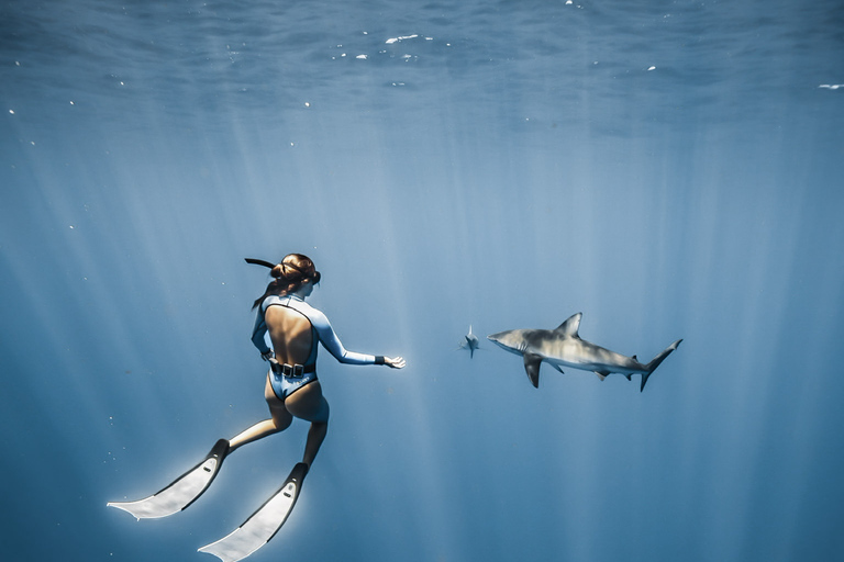 Oahu: Cage-Free Shark Diving Adventure Oahu: Cage-Free Shark Diving Adventure with Photos