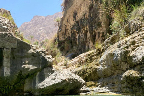 Escursione privata di un giorno a Wadi Tiwi, Fins Beach e Bimmah SinkholeEscursione di un giorno a Wadi Tiwi, Fins Beach e Bimmah Sinkhole